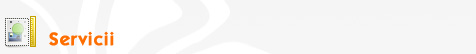 Servicii